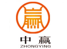中贏控股集團(tuán)-光馳傳媒經(jīng)典案例